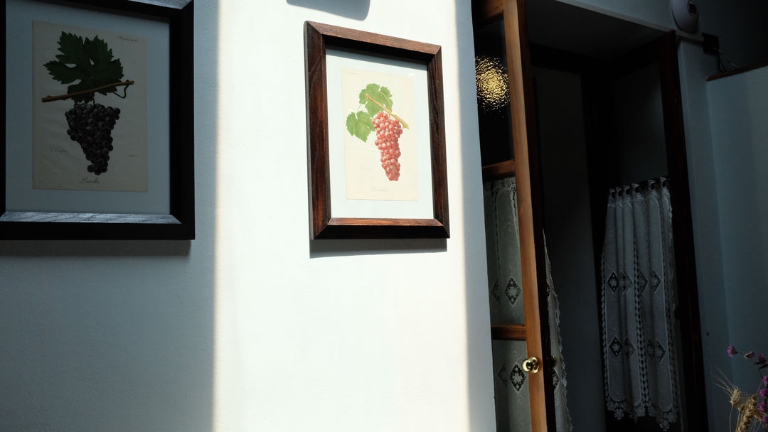 Corteforte Awaits: Enjoy 15% Off! Plus Tim's Tasting Notes..