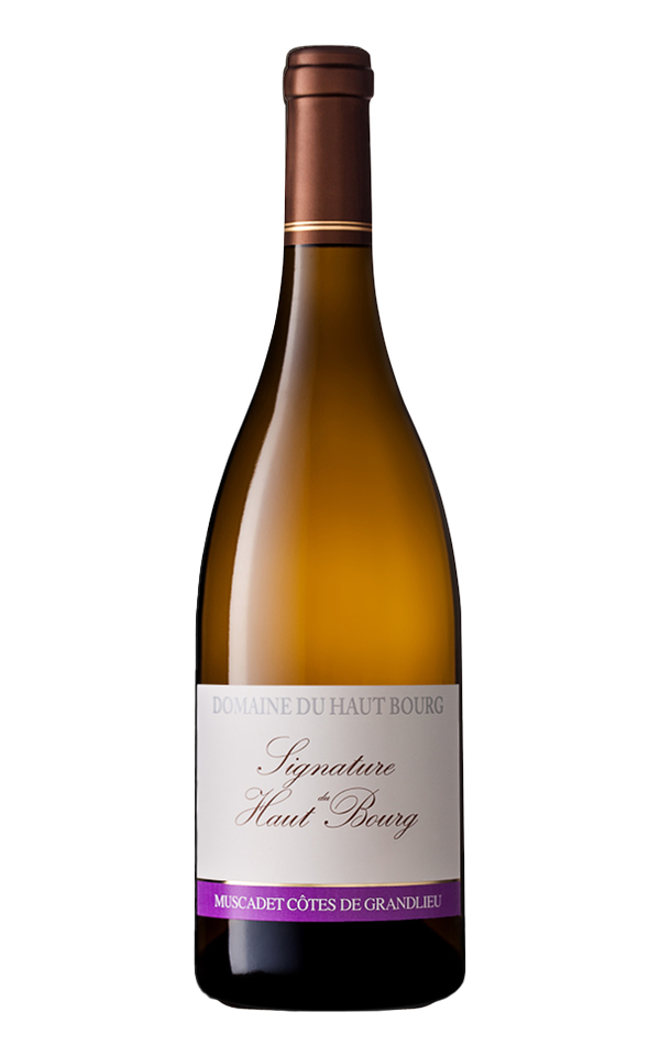 Domaine du Haut Bourg "Signature" Muscadet Côtes de Grandlieu sur Lie AOP 2018